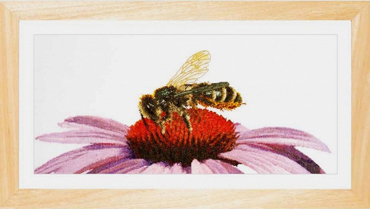 Набор для вышивания Thea Gouverneur 549A Bee on Echinacea