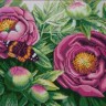 Конек 1278 Цветы из сада