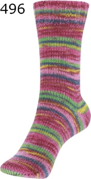 98936-99-496 Kamelie