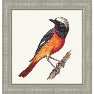 Сделано с любовью Ж-132 Горихвостка лысушка