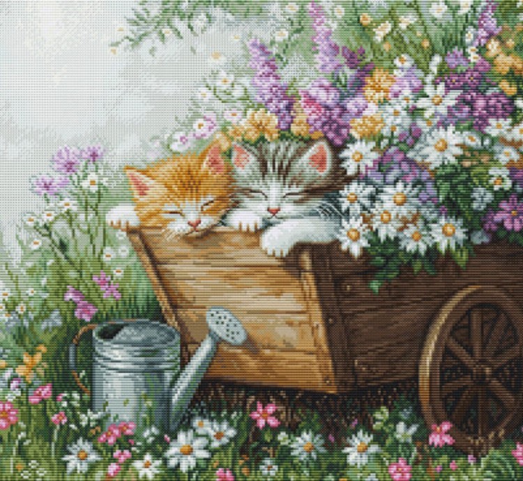 Luca-S BU5093 Спящие котята