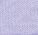 SAFISA 120-38мм-08 Лента органза, ширина 39 мм, цвет 08 - лиловый