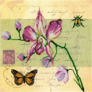 РТО M70017 Почтовая открытка - Орхидея
