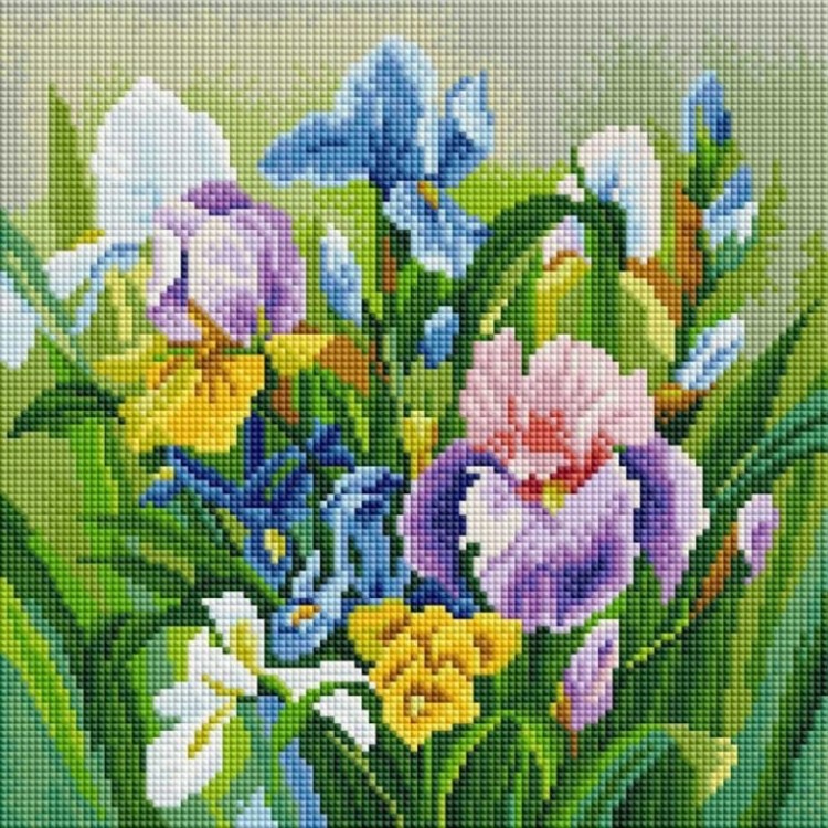 Белоснежка 362-ST-S Нежные ирисы