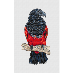 Сделано с любовью Ж-134 Дракула. Орлиный попугай