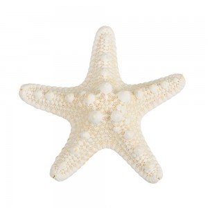 Blumentag MZF-001.05 Декоративная морская звезда