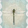 PAW Decor Collection SDL858000 Салфетка трехслойная для декупажа "Романтическая стрекоза"