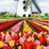 Набор для вышивания Anchor PCE0806 Dutch Tulips Landscape