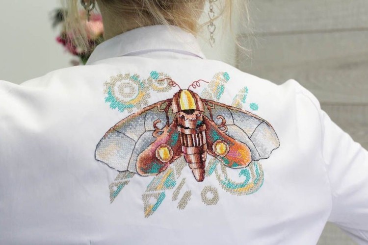 Набор для вышивания Жар-Птица В-810 Бражник