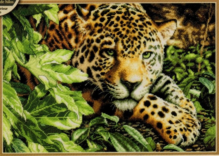 Набор для вышивания Dimensions 70-35300 Leopard in Repose