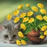 Матренин Посад 4154 Котик и одуванчики