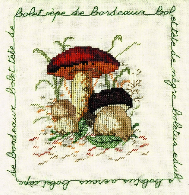 Набор для вышивания Le Bonheur des Dames 1682 Bolet Cepe De Bordeaux (Белый гриб)