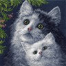 Матренин Посад 0971 Котята