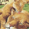Каролинка ТКБЖ 4040 Мамы и их зверята
