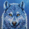 Набор для вышивания Bothy Threads XRF9 Mystique (Загадочность)