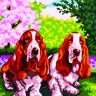 Collection D'Art 6262 Ткань с рисунком для вышивания