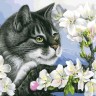 Белоснежка 929-AB Яблоневый цвет