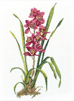 Eva Rosenstand 14-155 Красная орхидея