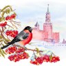 Матренин Посад 4151 Московская зима