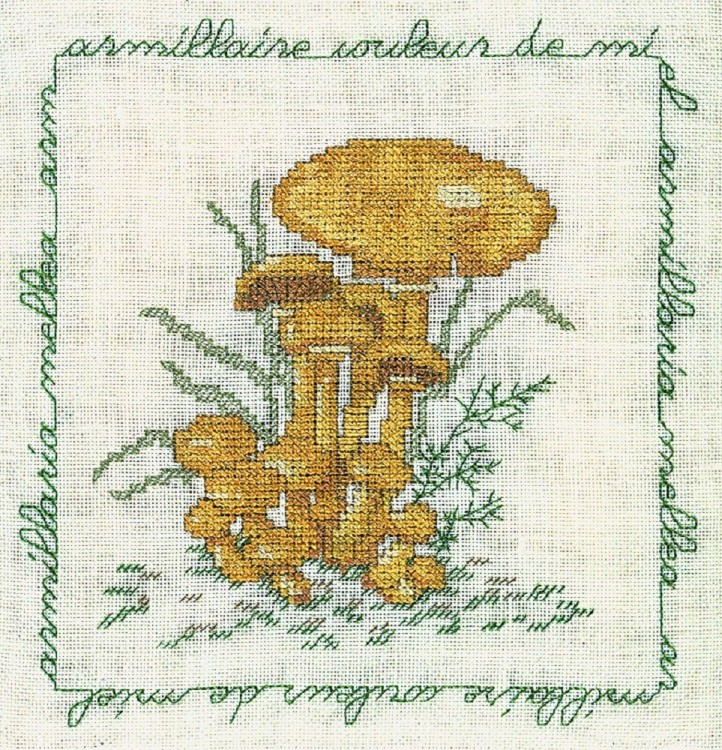 Набор для вышивания Le Bonheur des Dames 1685 Armillaire Couleur De Miel (Опёнок)