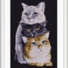 Набор для вышивания Dutch Stitch Brothers DSB015A Три кота