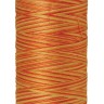 9085-9831
