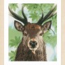 Набор для вышивания Lanarte PN-0168208 Proud red deer