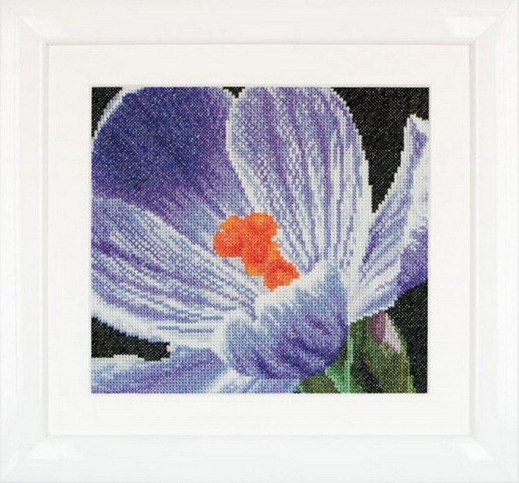 Набор для вышивания Thea Gouverneur 487A Crocus (Крокус)