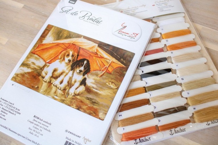 Luca-S B550 Двое под зонтом