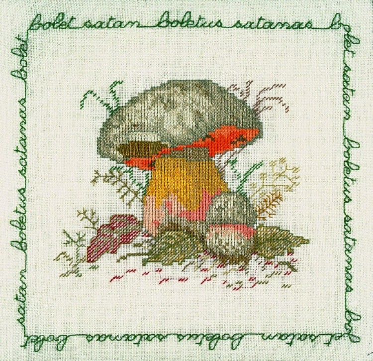 Набор для вышивания Le Bonheur des Dames 1686 Bolet Satan (Сатанинский гриб)