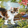 Матренин Посад 0858 Любопытный котенок