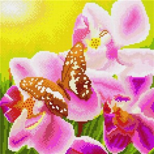 Империя бисера СК.305.П Бабочка и орхидея