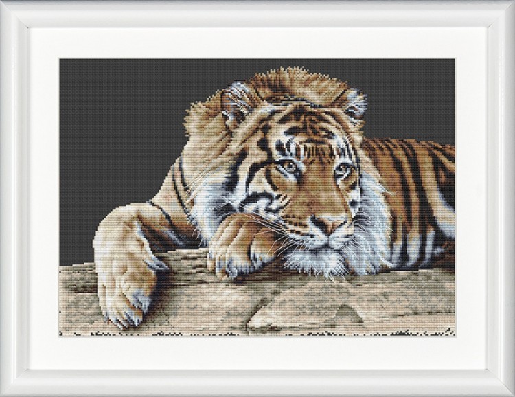 Набор для вышивания Thea Gouverneur 579.05 Tiger (Тигр)