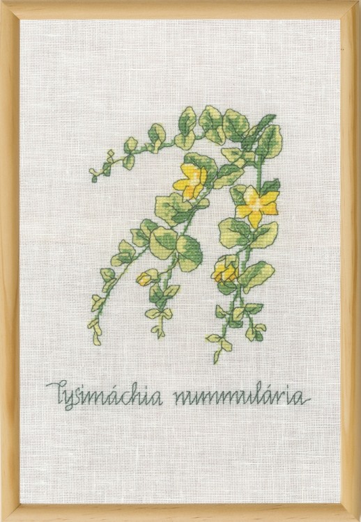 Набор для вышивания Permin 70-1831 Lysimachia (Лизимахия)