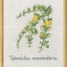 Набор для вышивания Permin 70-1831 Lysimachia (Лизимахия)