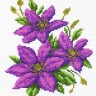 Матренин Посад 1291-1 Клематисы