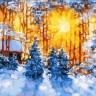 Белоснежка 224-AS Февраль