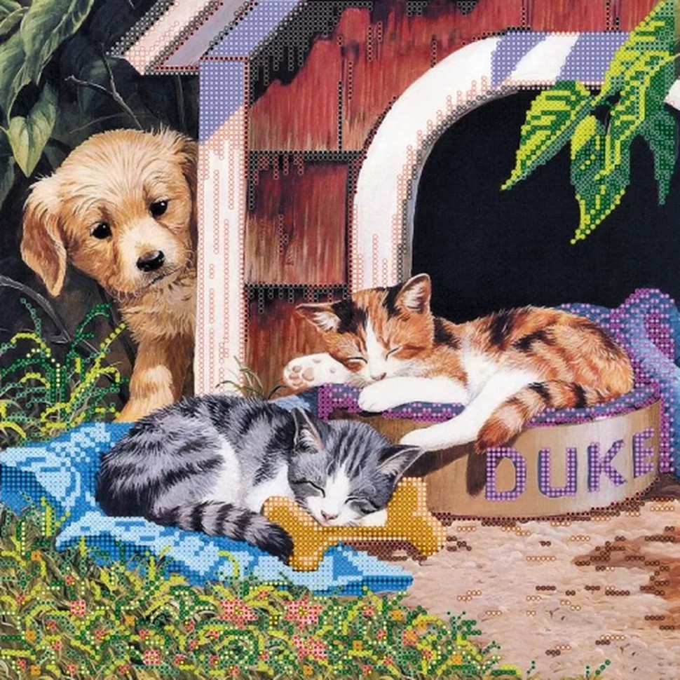 Кошка и собака иллюстрация
