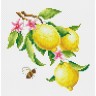 Набор для вышивания Многоцветница МКН 01-14 Ветка лимона
