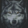 Набор для вышивания Палитра 02.001 Взгляд волка