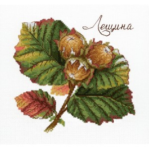 М.П.Студия НВ-912 Дары природы. Лещина