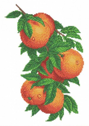 Каролинка ТКБЦ 3057 Ветка с апельсинами - канва с рисунком