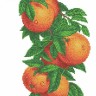 Каролинка ТКБЦ 3057 Ветка с апельсинами