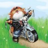 Белоснежка 285-AS Котоциклист