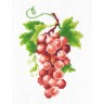 Набор для вышивания Многоцветница МКН 02-14 Гроздь винограда