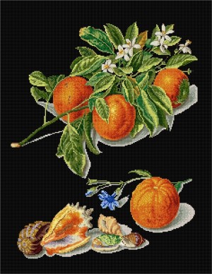 Thea Gouverneur 3061.05 Oranges and Mandarins