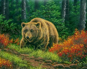 Астрея (Глурия) 73050 Бурый медведь