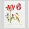 Набор для вышивания Thea Gouverneur 2039 Tulips (Тюльпаны)