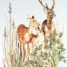 Набор для вышивания Thea Gouverneur 938 Deer Family