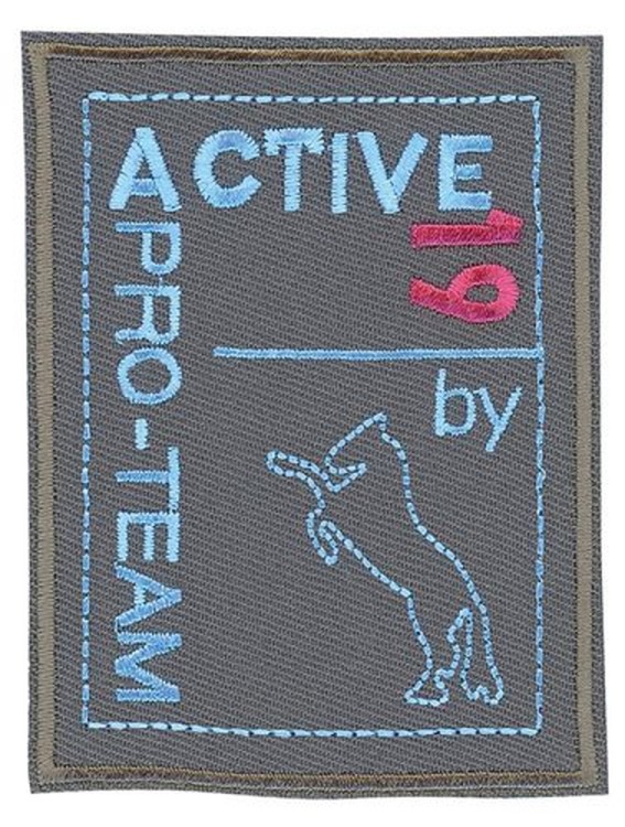 HKM 36498/1SB Термоаппликация "Эктив 19"
